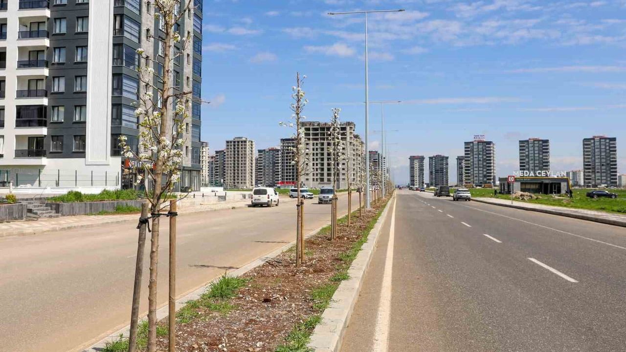 Diyarbakır’da yeşil dönüşüm: 5 bin 16 ağaç dikildi, 6 bin 930 fidan ücretsiz dağıtıldı