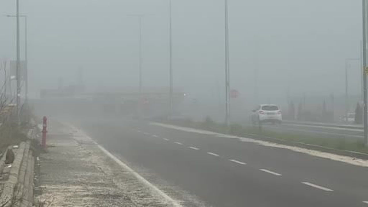 Diyarbakır Oğlaklı Mahallesi'nde Yoğun Sis: Görüş Mesafesi 20 Metreye Düştü