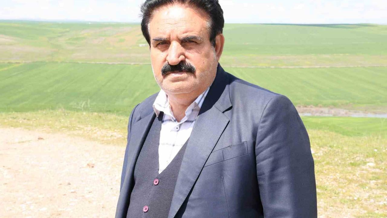 Diyarbakır Sur'da iddia: 250 dönüm buğday tarlası akrabalar tarafından ilaçla kurutuldu