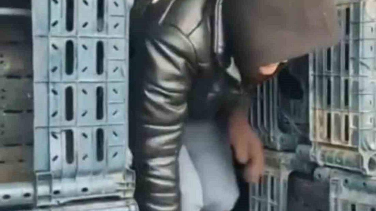 Düzce'de jandarma 7 düzensiz göçmeni yakaladı