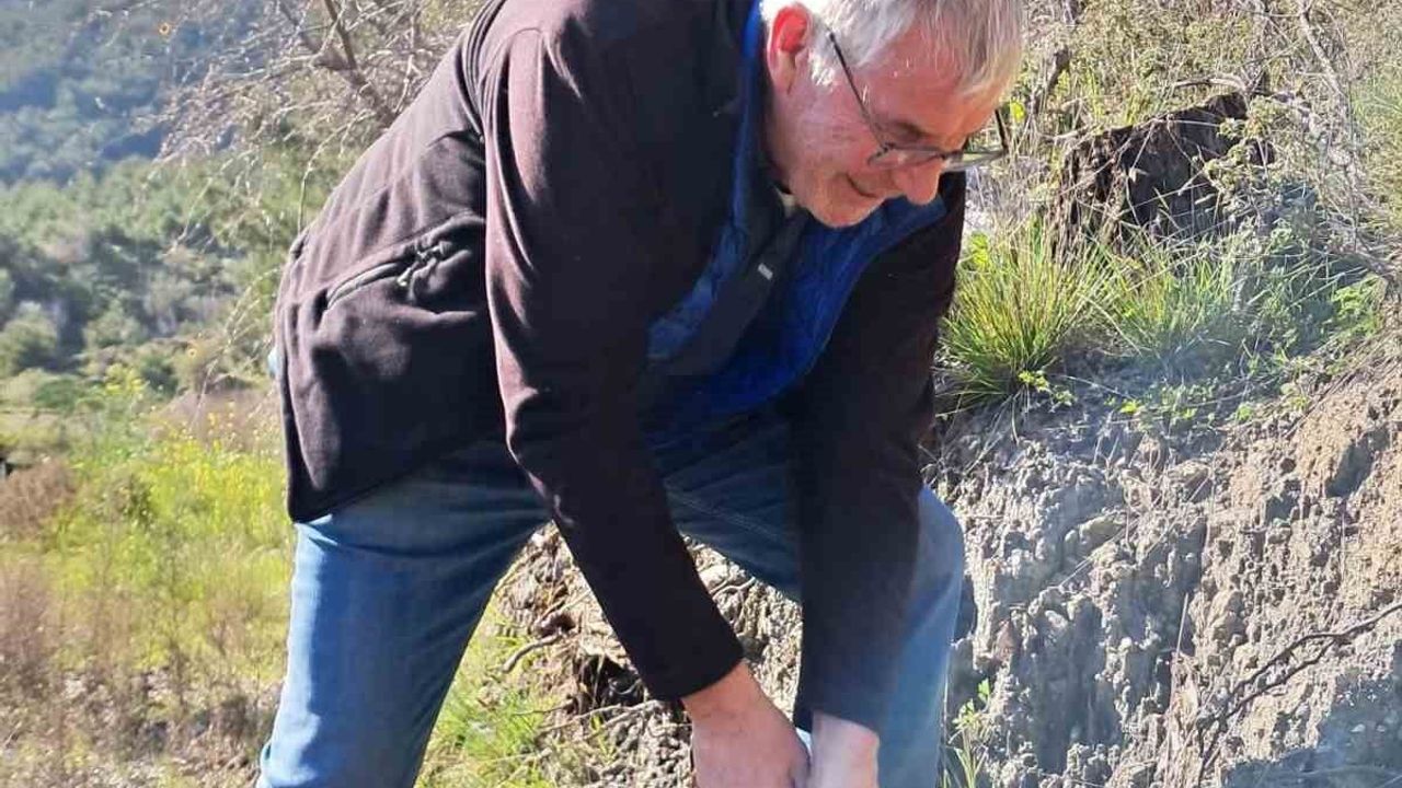 Edremit'te Kazdağı Bal Ormanı uluslararası ilgiyle büyüyor: Japon ve Avusturyalı konuklar kestane fidanı dikti