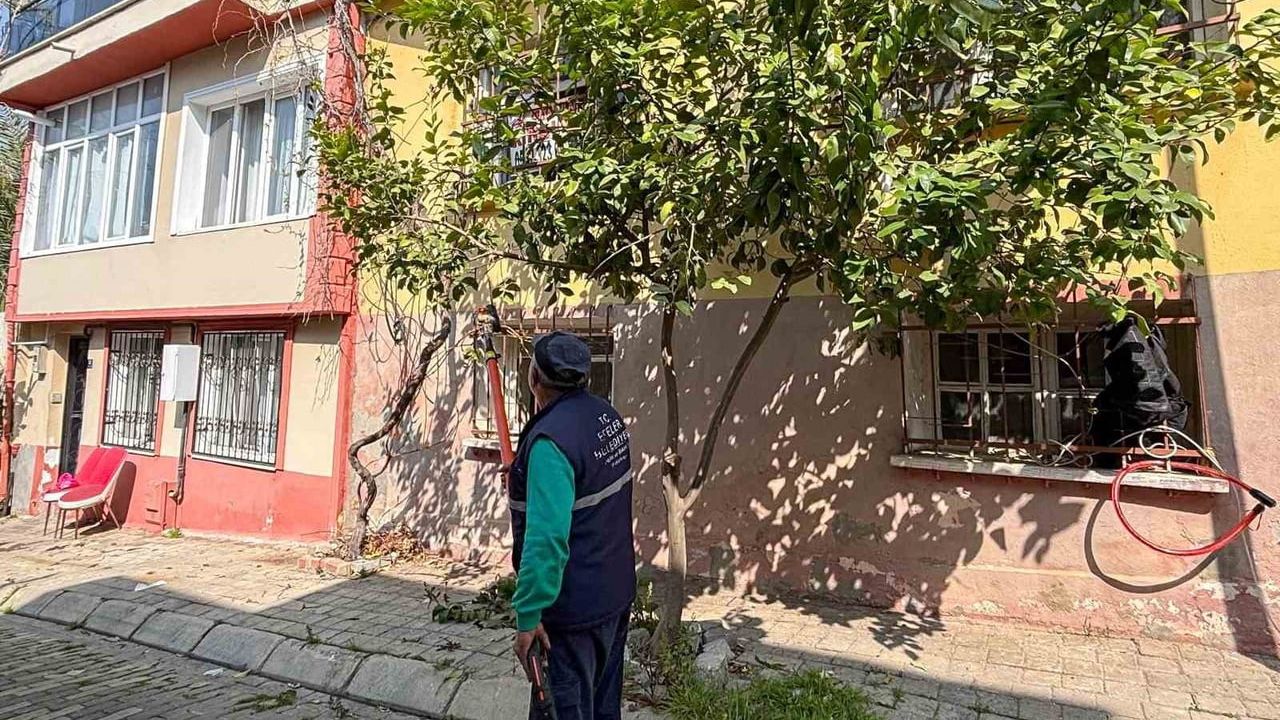 Efeler Belediyesi, tarihi mahallelerde koruma odaklı budama ve bakım çalışması gerçekleştirdi