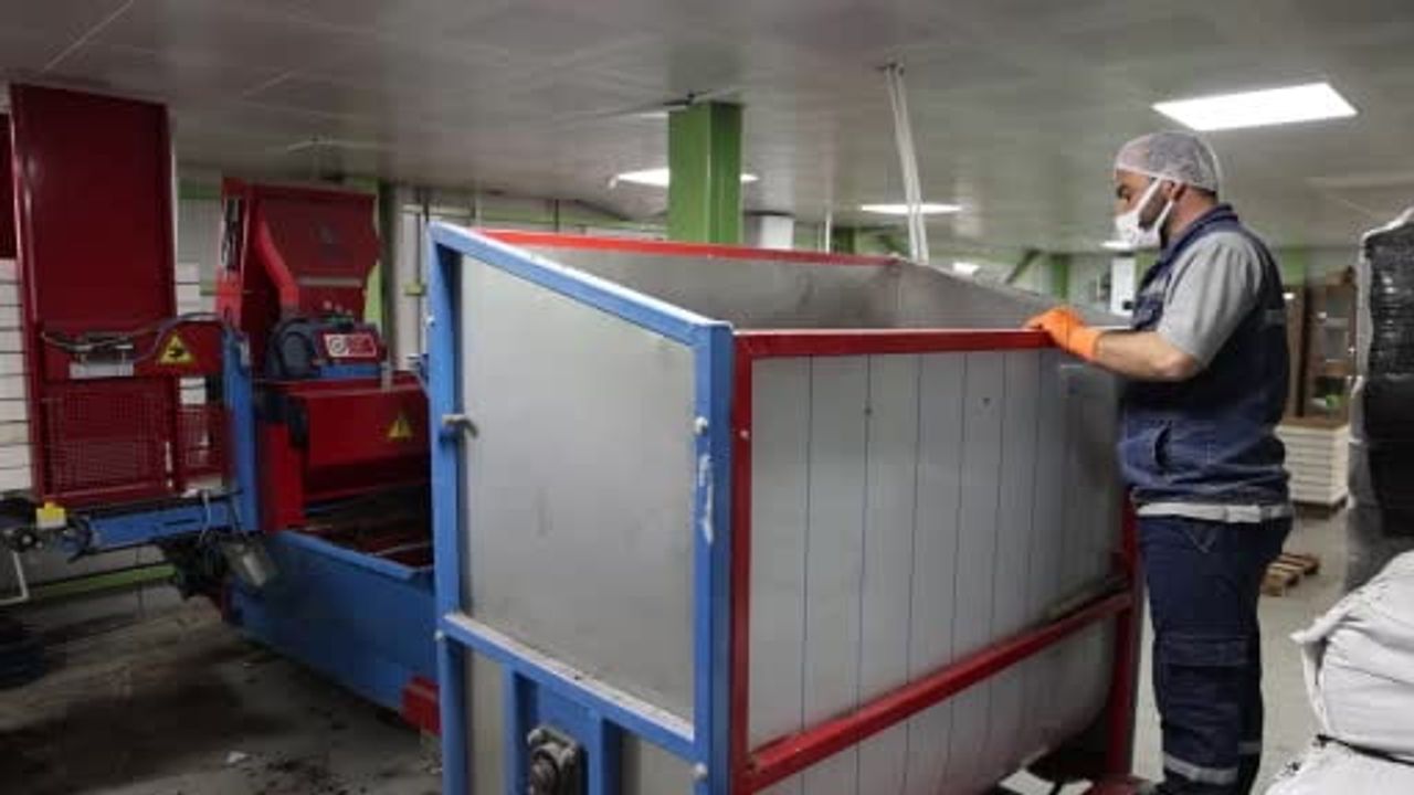 Elazığ Cip jeotermal serasında üretilen çiçekler kentin estetiğini güçlendiriyor