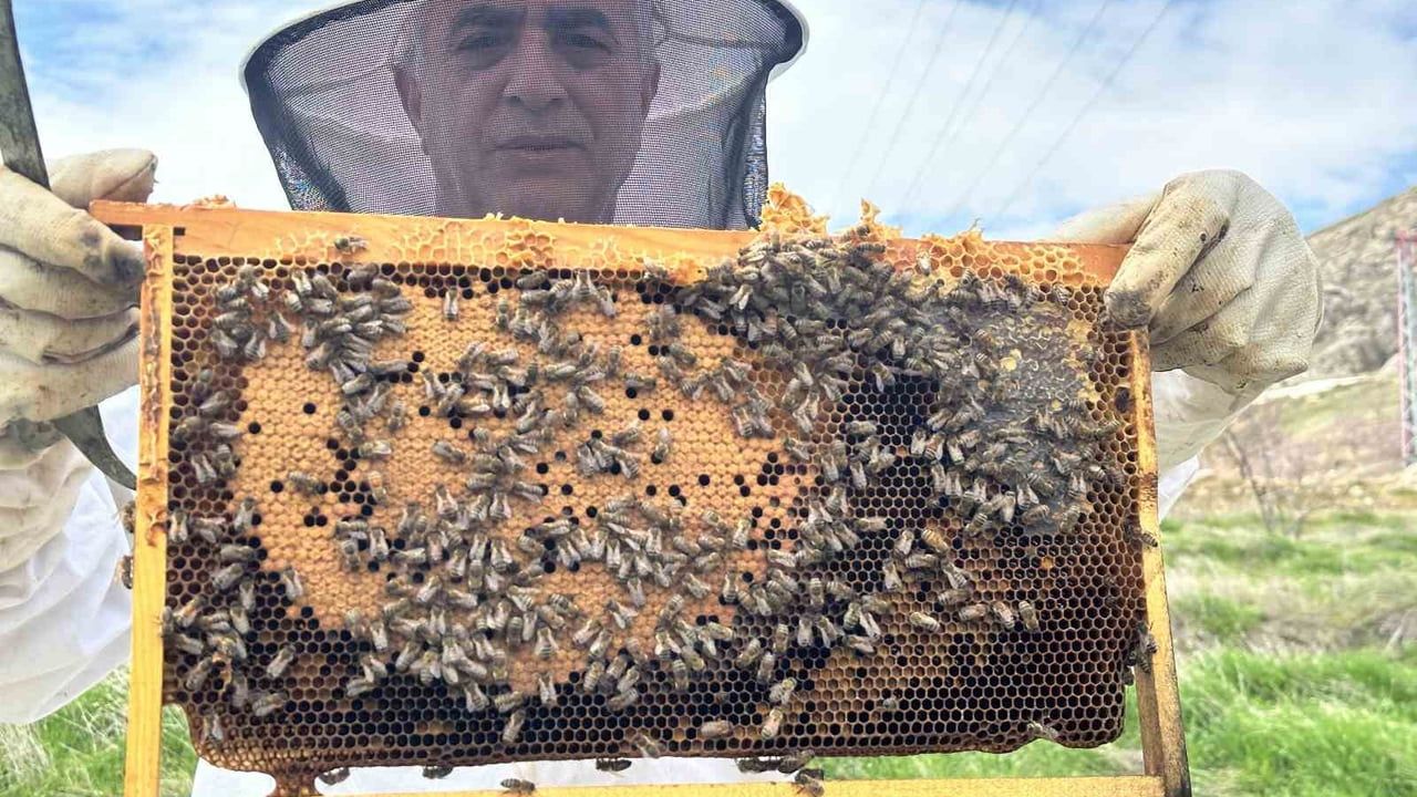 Elazığ'da arıcılar yavru dönemindeki kolonileri kek ve ballı şurup ile besliyor