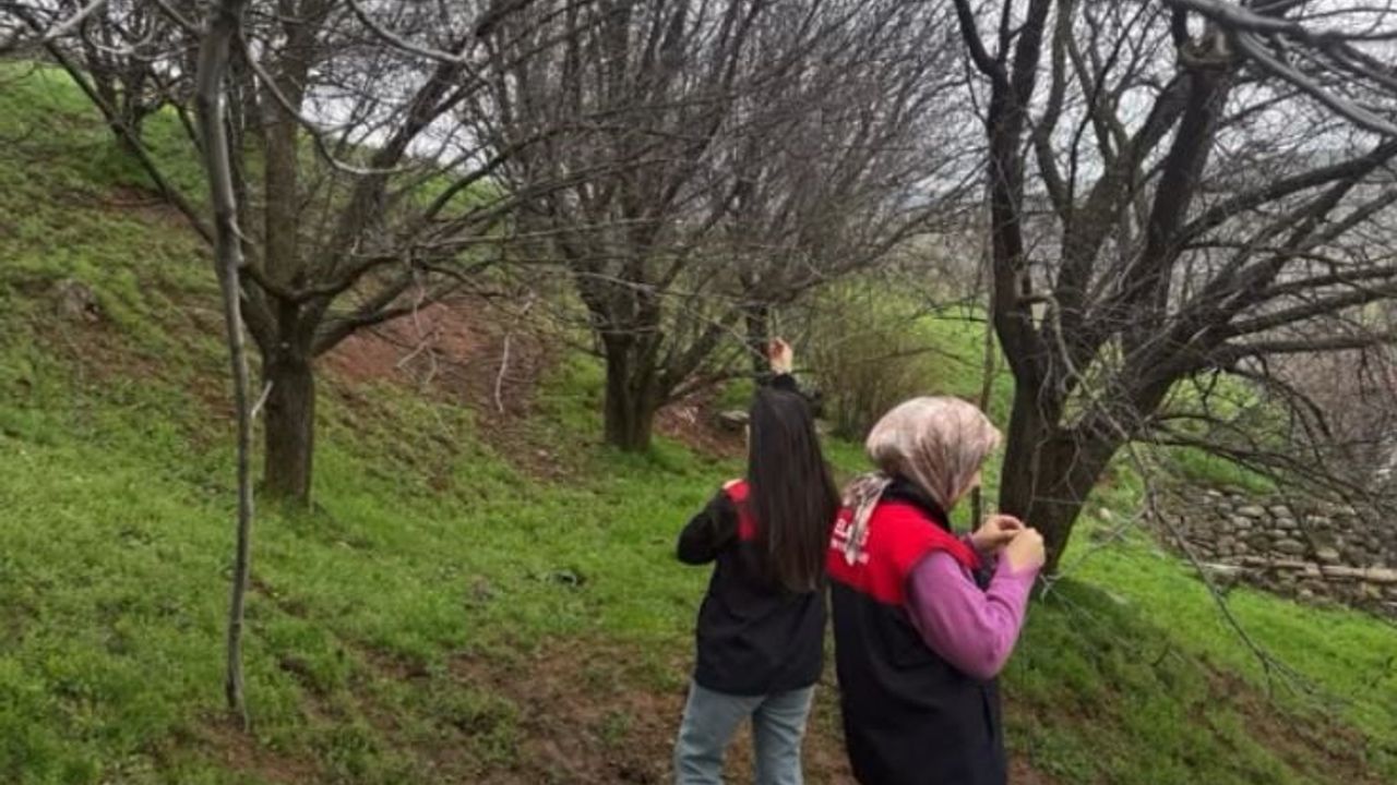 Elazığ’da İl Tarım ve Orman Müdürlüğü zirai don riskine karşı sahada inceleme ve bilgilendirme yapıyor