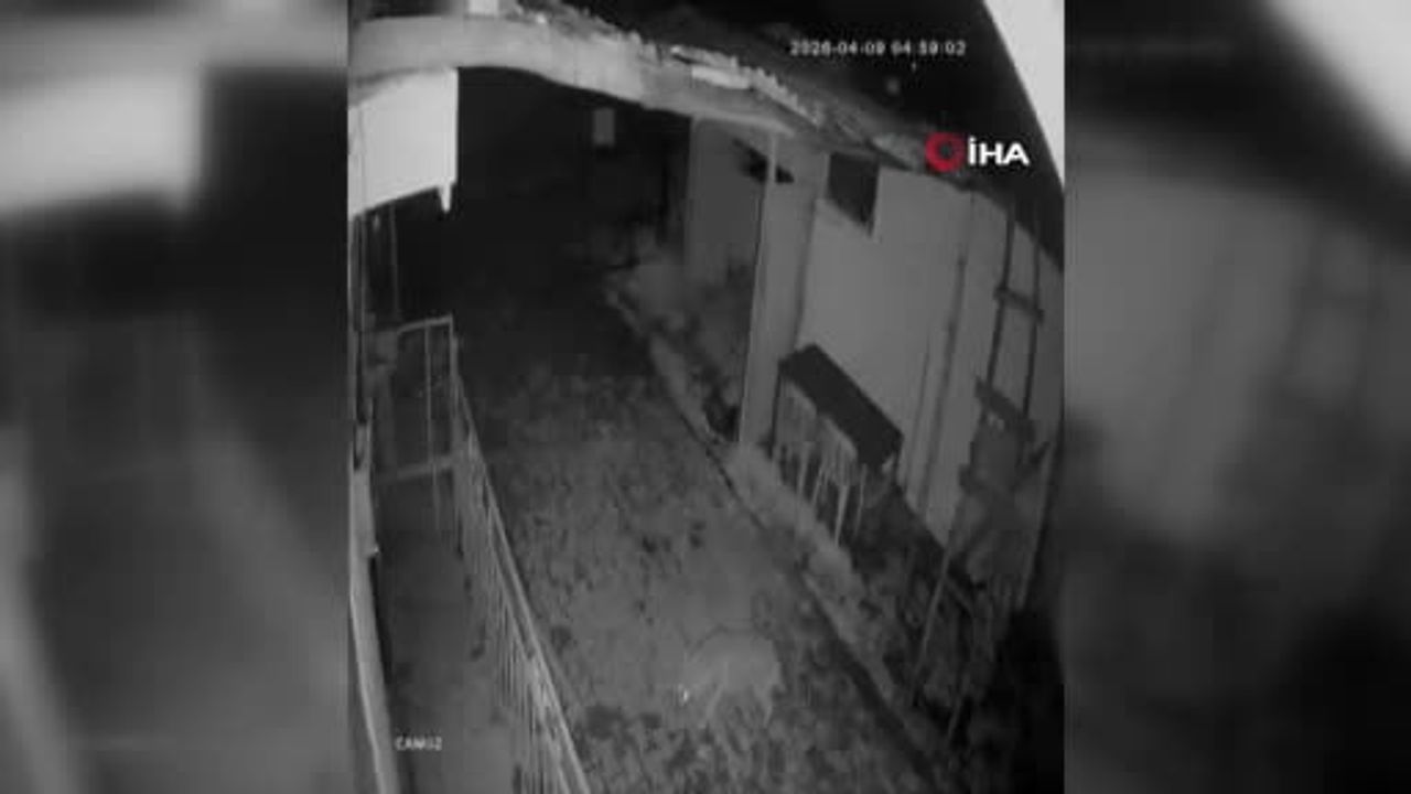 Elazığ Erbildi Köyünde yiyecek arayan kurt güvenlik kamerasına yansıdı
