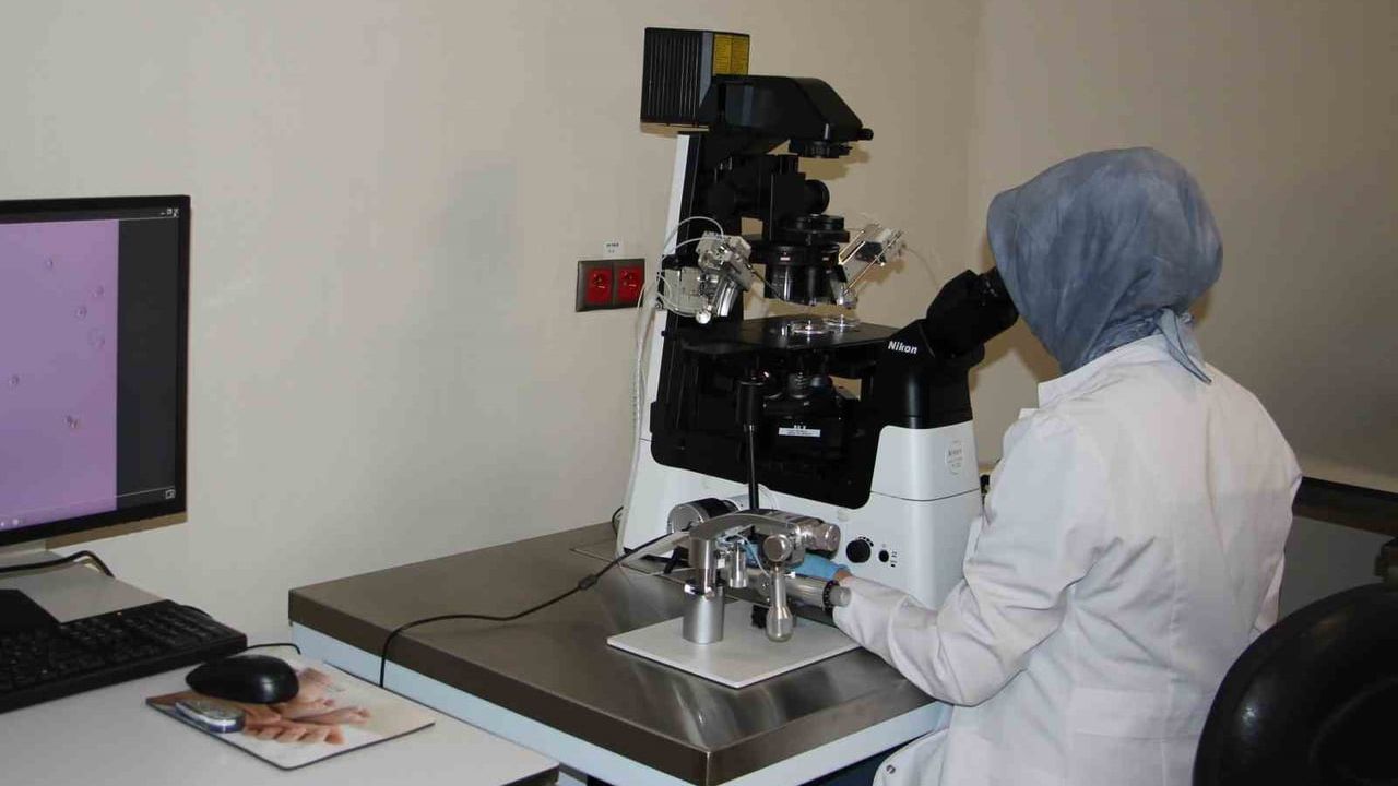 Elazığ Fethi Sekin Şehir Hastanesi Tüp Bebek Ünitesi bölgeye umut veriyor