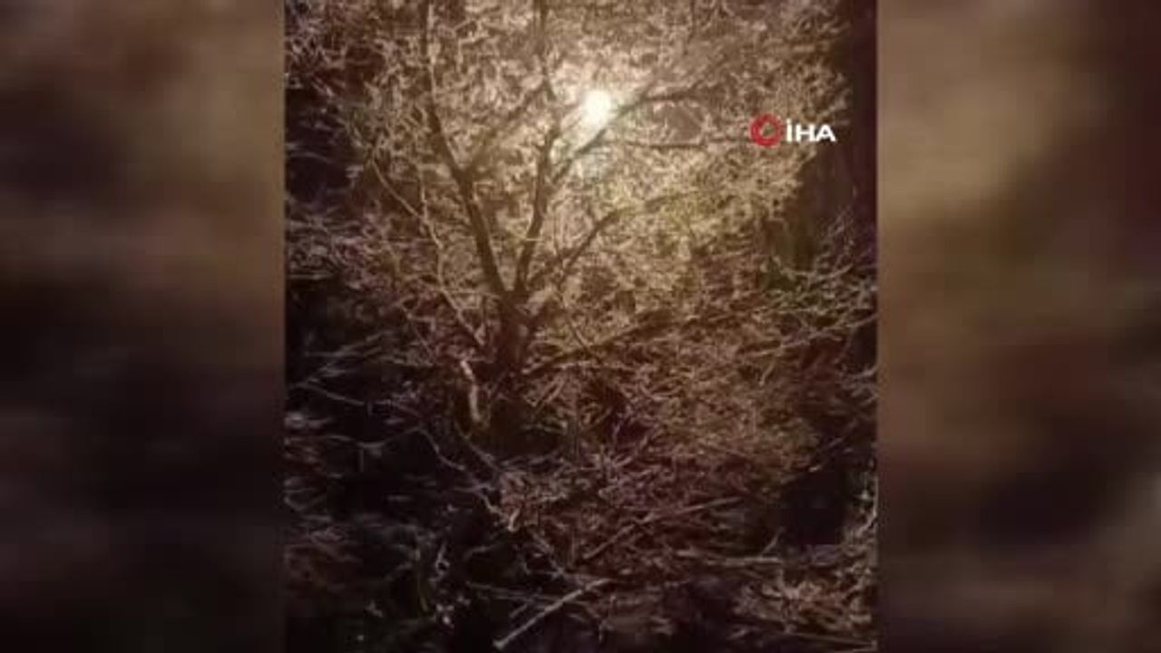 Elazığ’ın Karakoçan ilçesi Balzama köyünde kar yağışı etkili oldu