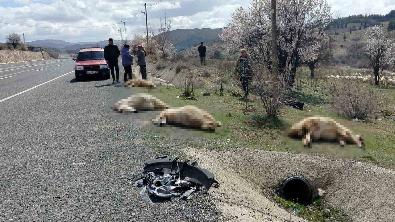 Elazığ Keban yolunda otomobil koyun sürüsüne çarptı: 9 koyun telef oldu