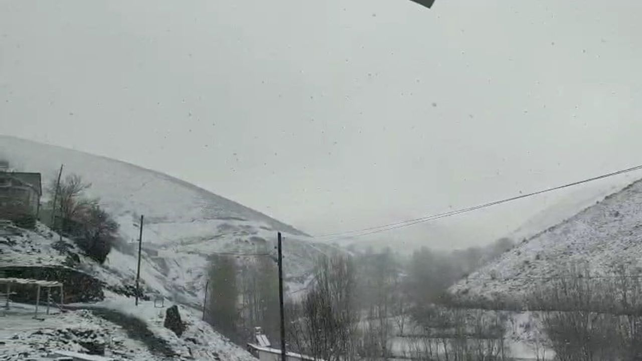 Elazığ Palu Tarhana köyünde Nisan ortasında kar yağışı etkili oldu