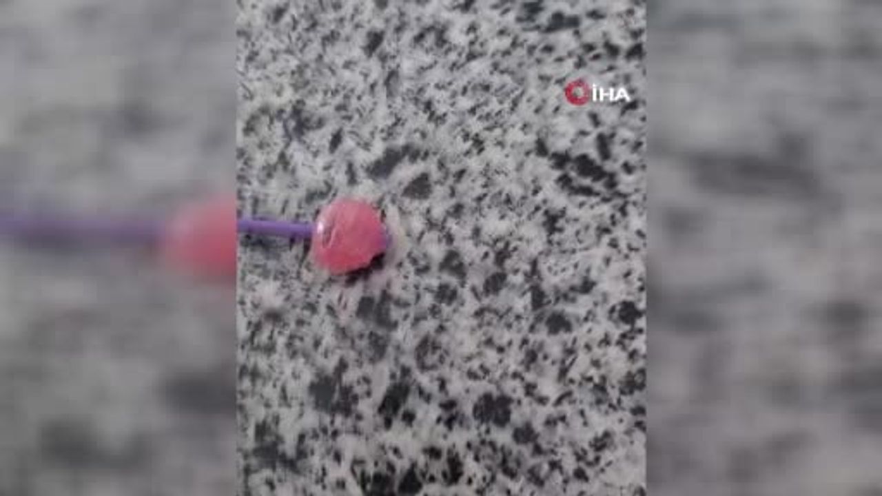 Elazığ Ulukent’te alınan şekerin içinden taş çıktı