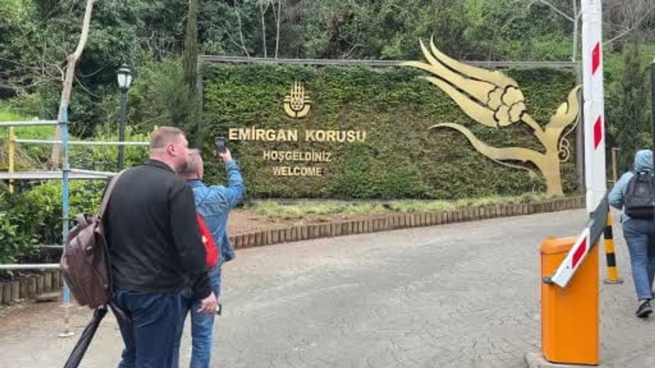 Emirgan Korusu'nda lale festivali başladı