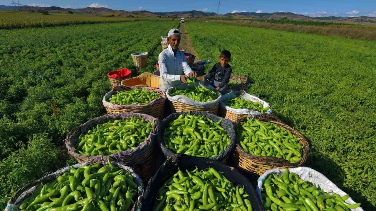 Ercan Özel: Tarım ve sanayiyi entegre ederek Yenişehir’i ticaret ve istihdam merkezi yapıyoruz