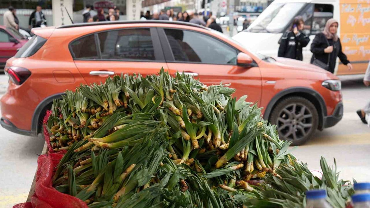 Erzincan'da Çiriş Otu Tezgahlarda: Doğal Antibiyotik ve Yöresel Gelir Kaynağı