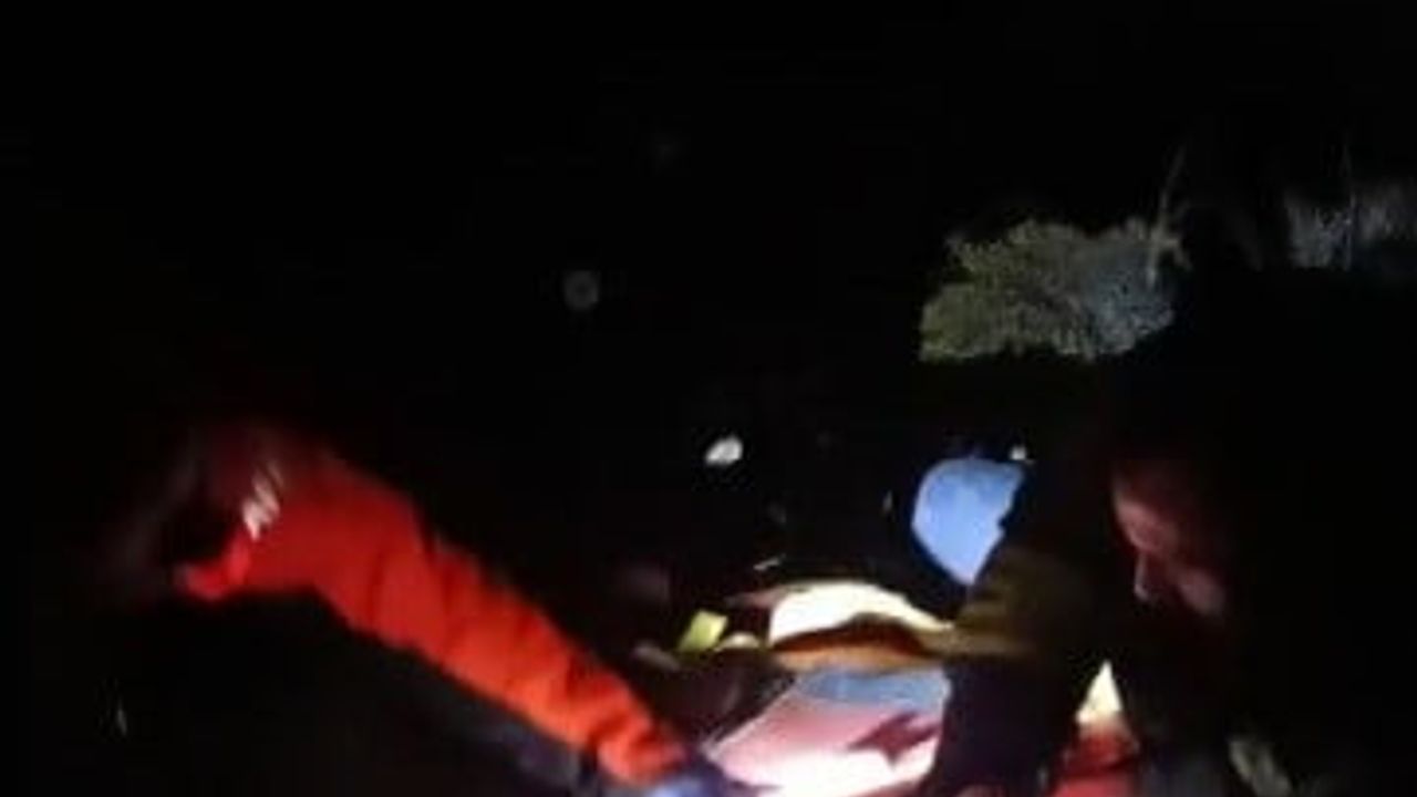 Erzincan'da Keklikkayası'nda uçurumdan düşen İran uyruklu vatandaş kurtarıldı