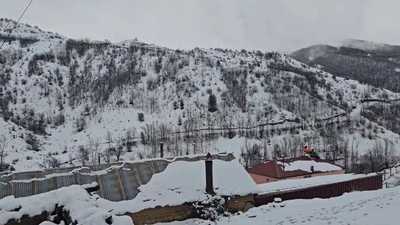 Erzincan'da Sıcaklık Düştü: Refahiye'de Kar Yağışı ve Ulaşım Aksamaları