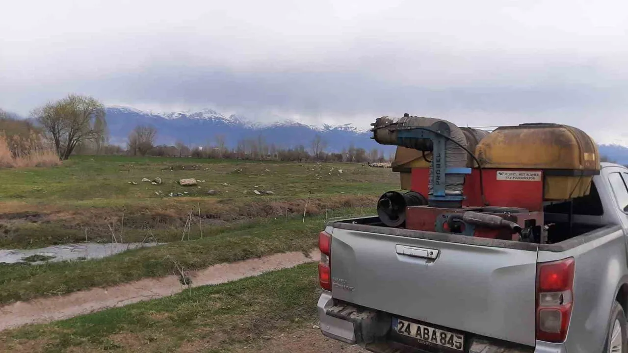 Erzincan'da sivrisinek ve larva mücadelesi: İlaçlama çalışmaları başladı