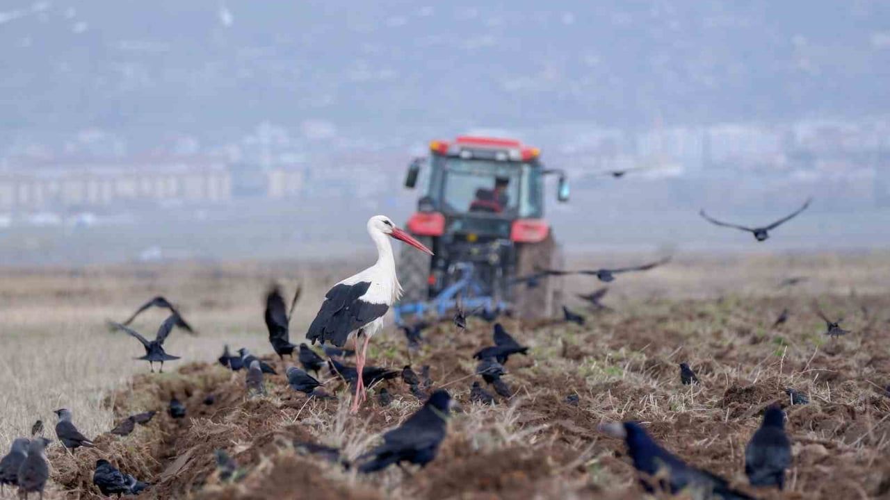 Erzincan İl Tarım ve Orman Müdürlüğü’nden 7-11 Nisan 2026 zirai don uyarısı