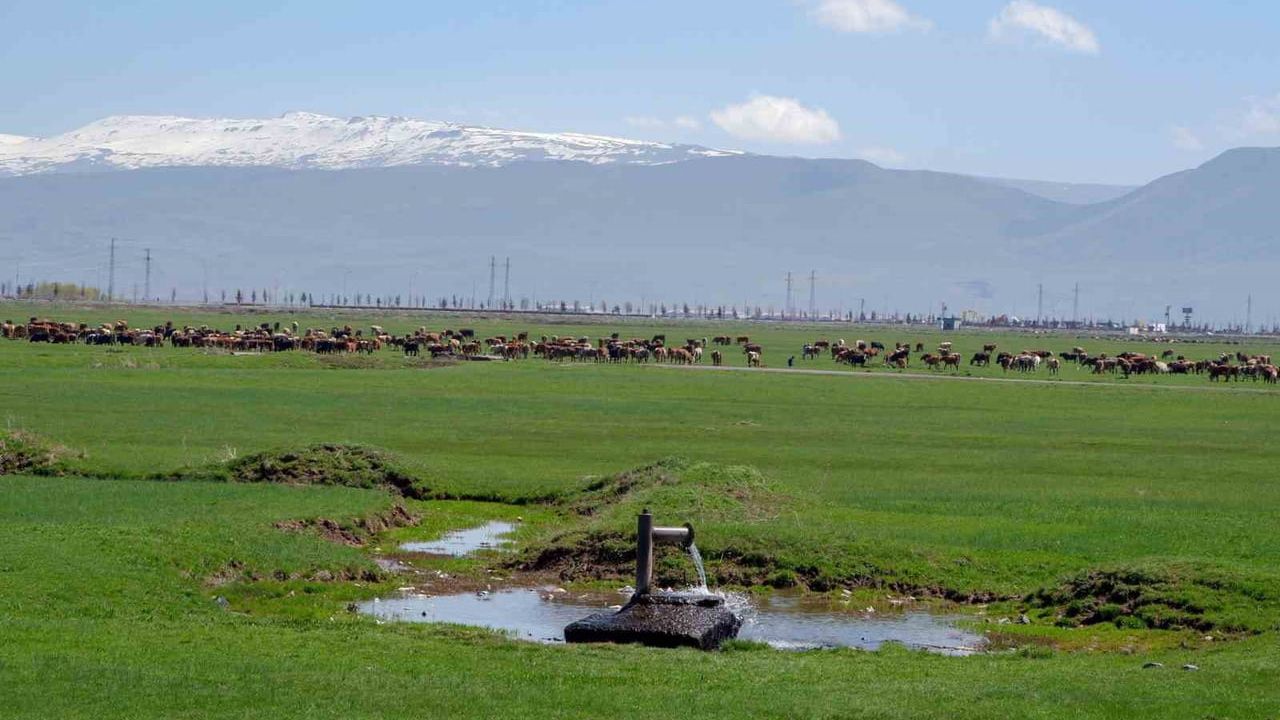 Erzurum’da çiftçilerin üretim deseni değişikliğine yaklaşımı: Kayıt, yayım ve önder üretici modeli öne çıktı