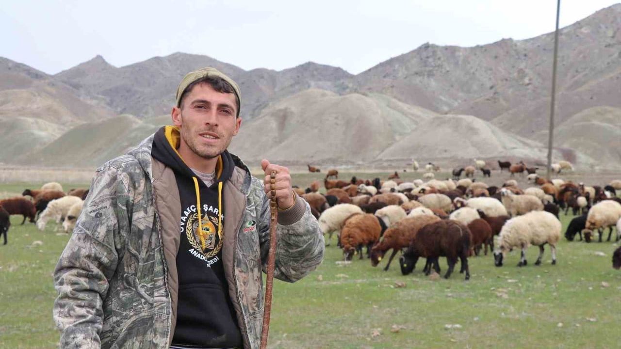 Erzurum'da saksağandan ilham alan çoban sürüsünü dronla yönetiyor