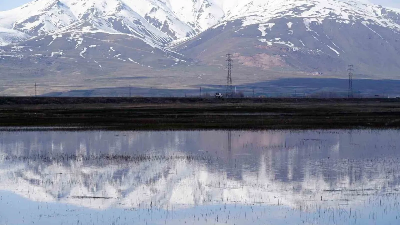 Erzurum, Erzincan, Bayburt ve Ardahan için zirai don uyarısı