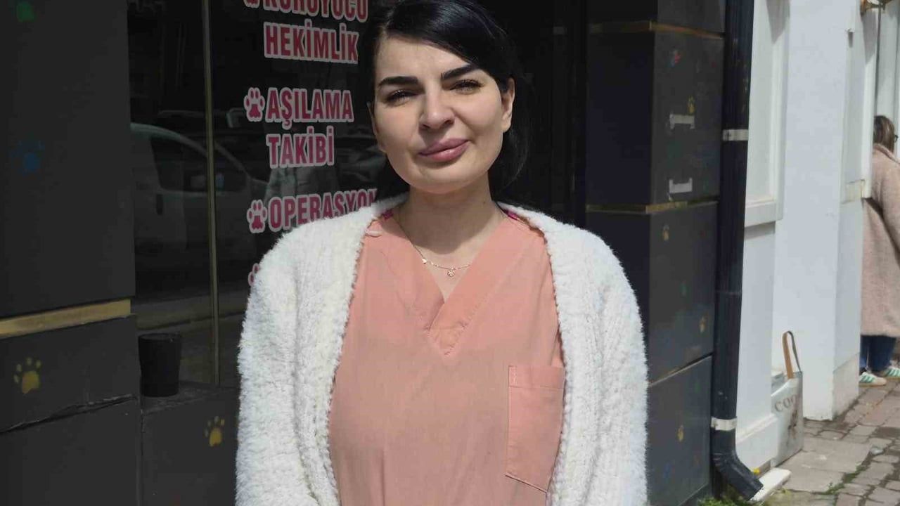 Eskişehir'de Hamile Kedi Veteriner Kliniğine Sığındı ve Klinikte 4 Yavru Doğurdu