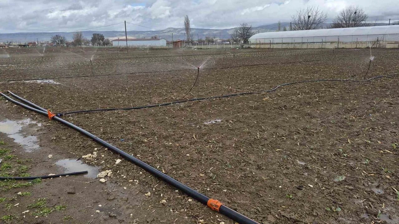 Eskişehir'de yılın ilk tohum ve fideleri toprakla buluştu