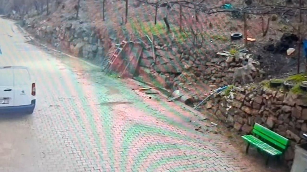 Feke'de yerleşim alanına inen kurt güvenlik kamerasına yansıdı