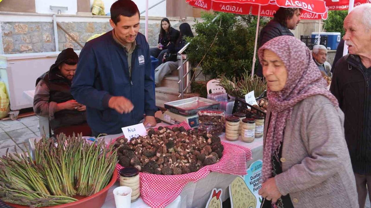 Fethiye'de 15. Dastar ve Kuzugöbeği Mantar Festivali başladı