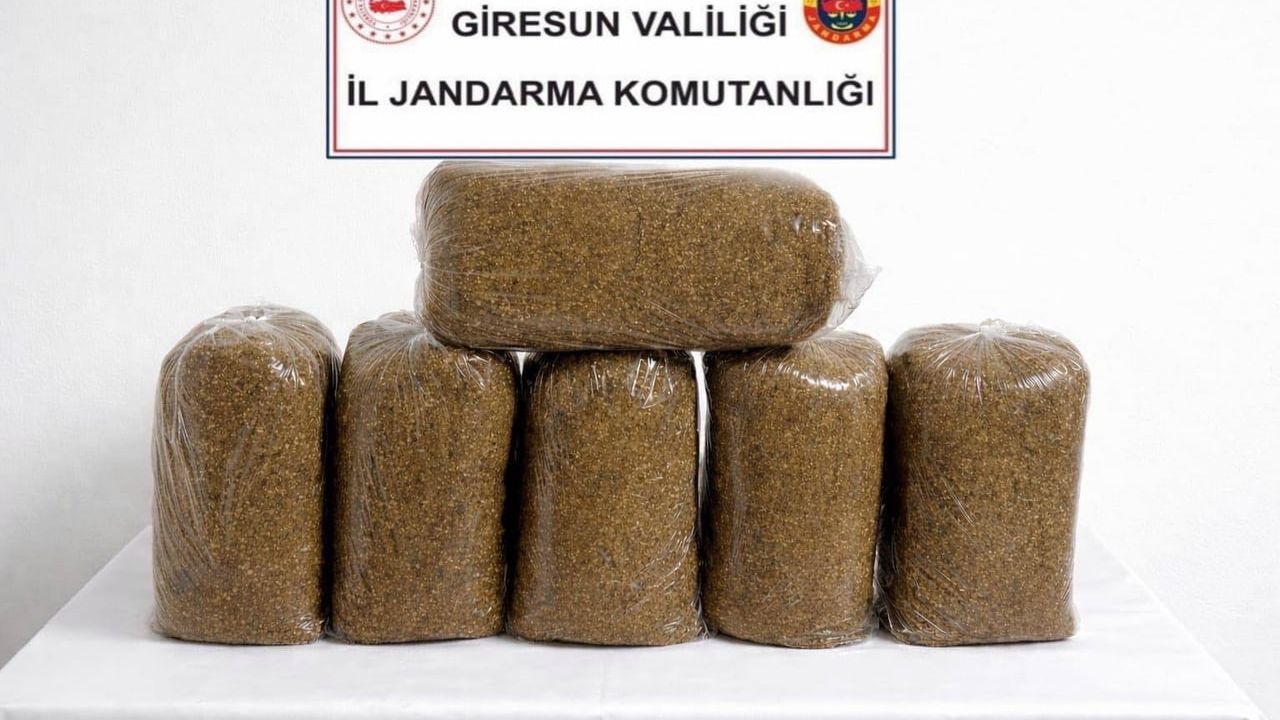 Giresun'da jandarma operasyonu: Uyuşturucu, kaçak alkol ve tütün ele geçirildi; 4 şüpheli hakkında adli işlem