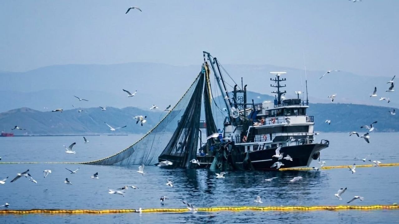 Gırgır ve trol teknelerine genel av yasağı 15 Nisan'da başlıyor