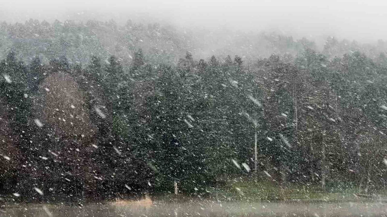 Gölcük Tabiat Parkı'nda kar ve sis etkili oluyor