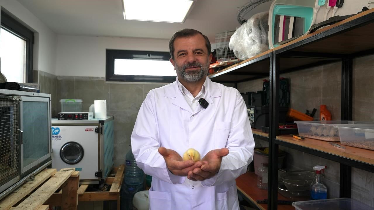 Gürsu Butik Hayvanat Bahçesi yeni sakinlerini ağırlıyor