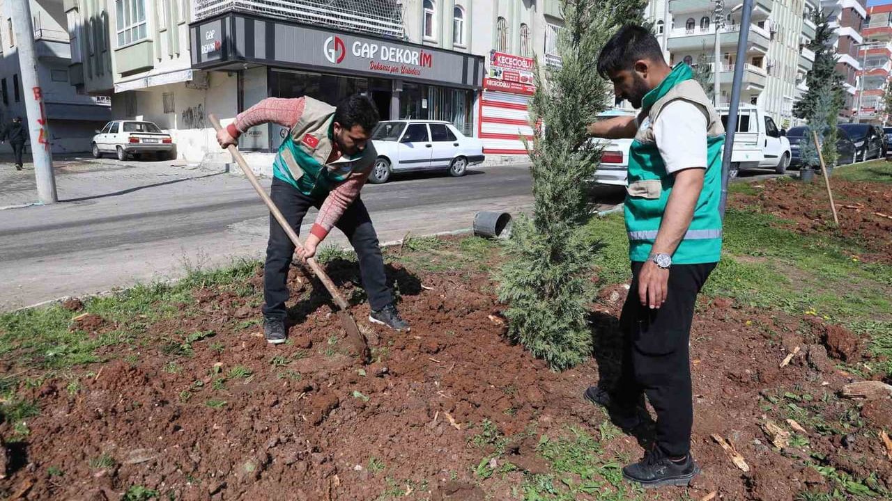 Haliliye'de yaz öncesi parklarda yoğun düzenleme ve yenileme çalışmaları