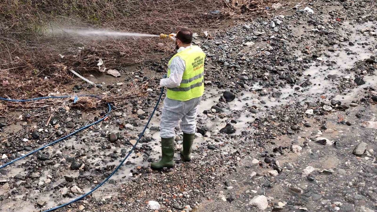 Hatay Büyükşehir Belediyesi il genelinde haşereyle mücadeleyi kesintisiz sürdürüyor