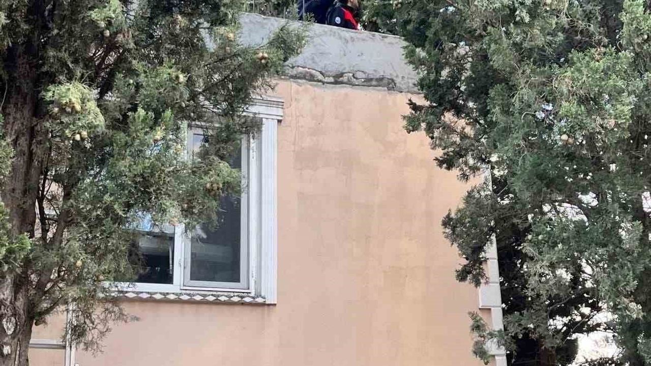 Hatay Defne'de ağaçta mahsur kalan kedi itfaiye ekiplerince kurtarıldı