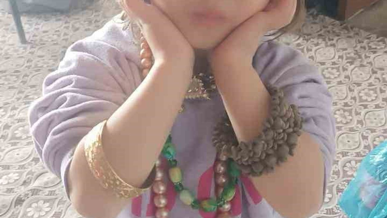 Hizan'da 4 yaşındaki Rabia Ilgaz için geniş çaplı arama çalışmaları sürüyor