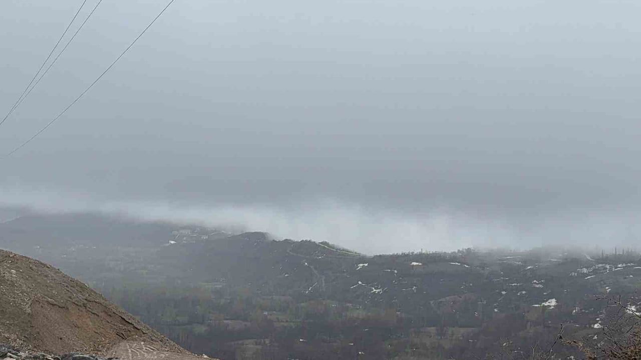 Hizan'da yoğun sis ulaşımı olumsuz etkiledi