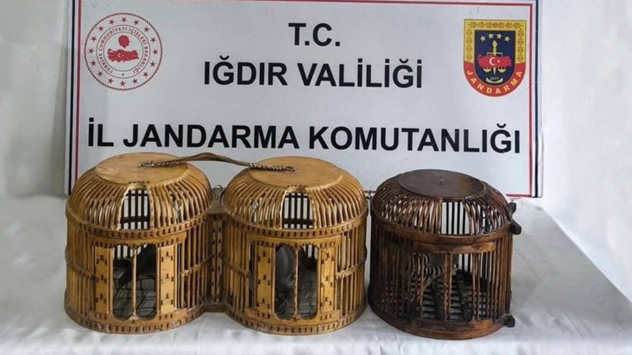 Iğdır'da kaçak keklik avı: 4 kişiye 72 bin 829 TL idari para cezası