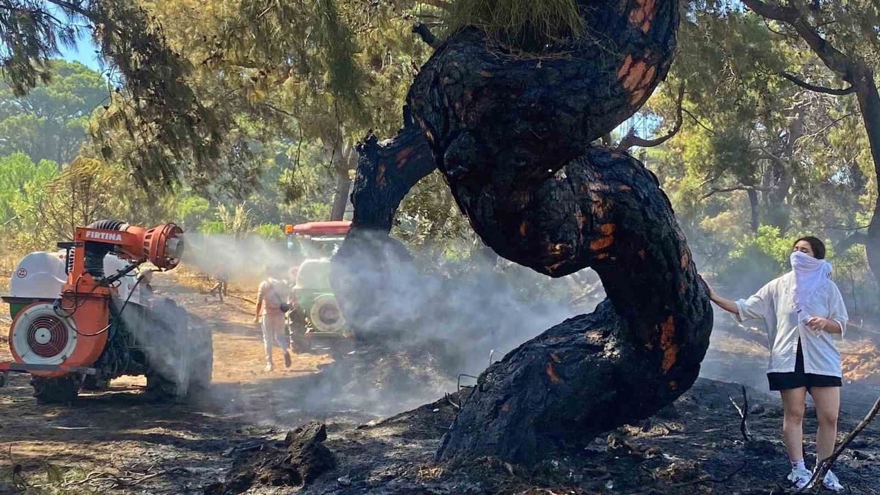 İHA muhabiri Suat Metin, AGC 2025 Antalya Basın Ödülleri'nde 'Yılın Fotoğrafı' ödülünü aldı
