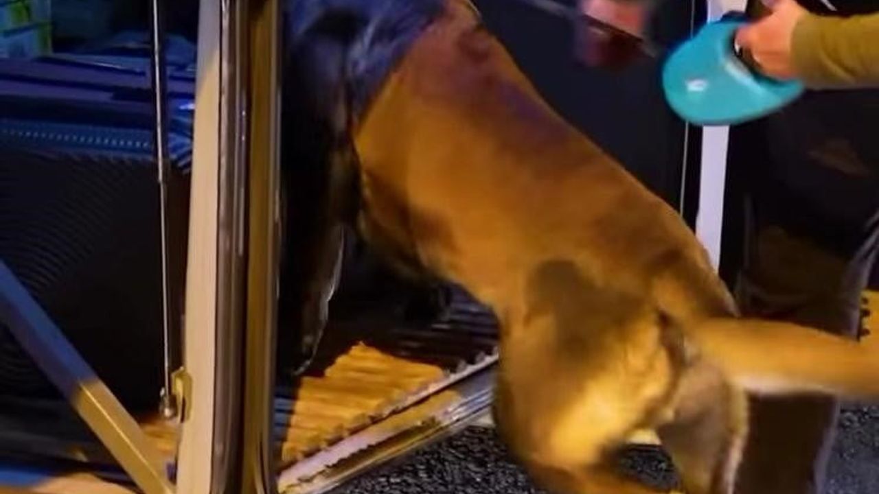 Isparta'da polis denetimleri: 35 bin 564 kişi sorgulandı, 40 aranan şahıs yakalandı