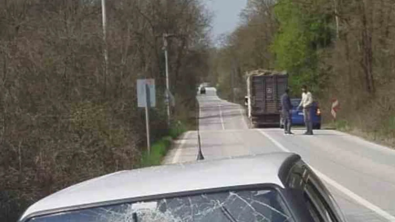 İzmit'te kamyondan düşen tomruk otomobilin ön camına saplandı, sürücü yaralandı