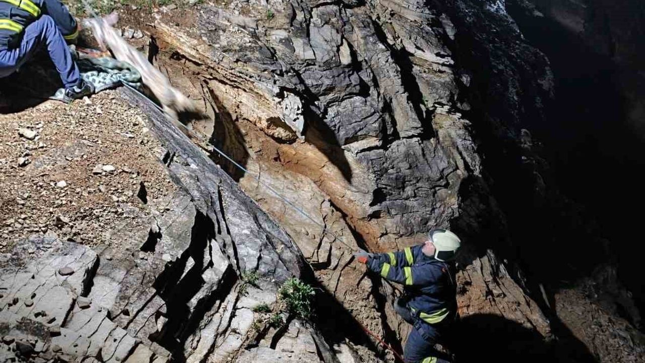 İzmit'te sarp kayalıklarda mahsur kalan 16 keçi ve oğlak itfaiye tarafından kurtarıldı