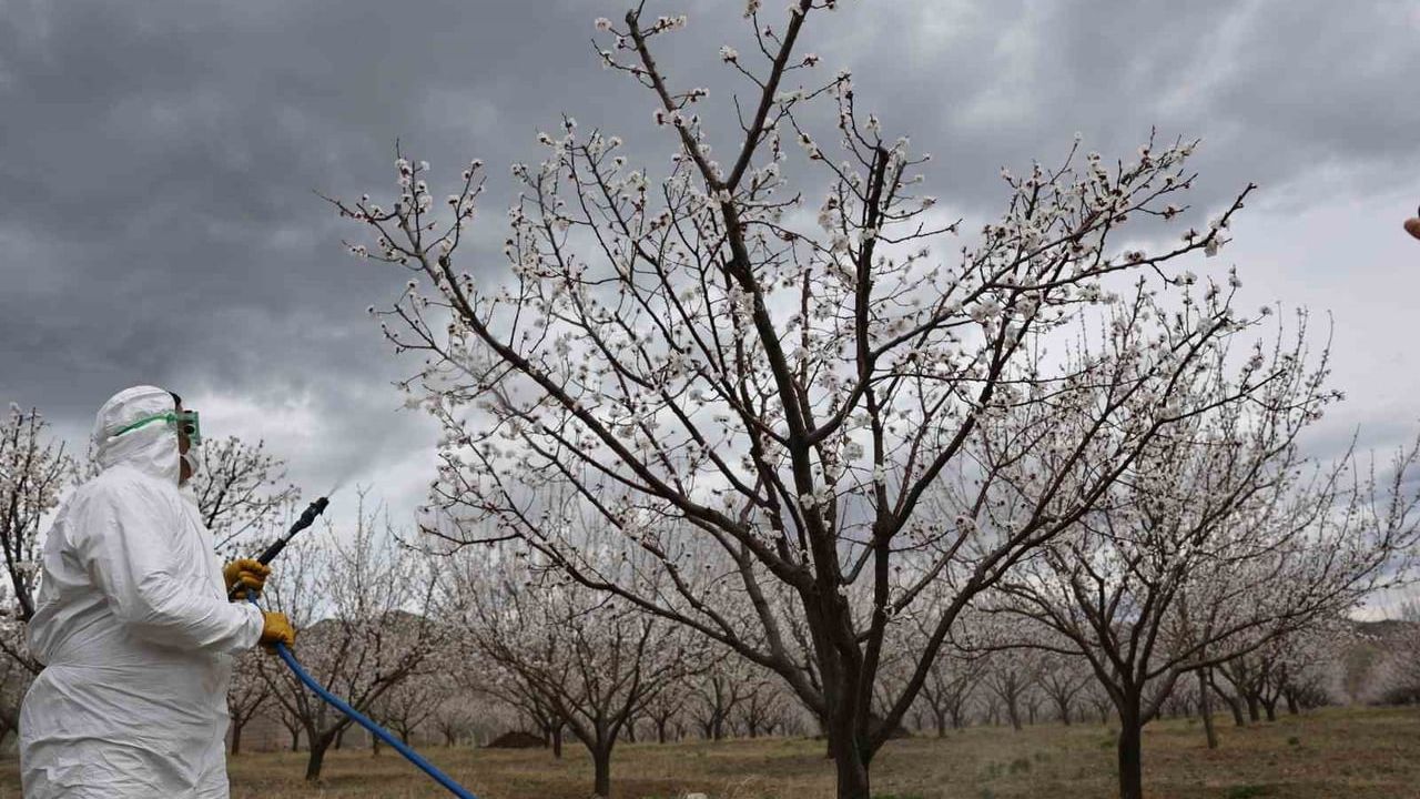 Kağızman'da üretimi güçlendirmeye yönelik saha çalışması: Kars Tarım ve Orman İl Müdürlüğü üreticilerle buluştu