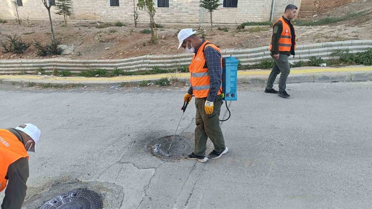Kahta Belediyesi, yaz öncesi haşereyle mücadeleyi yoğunlaştırdı