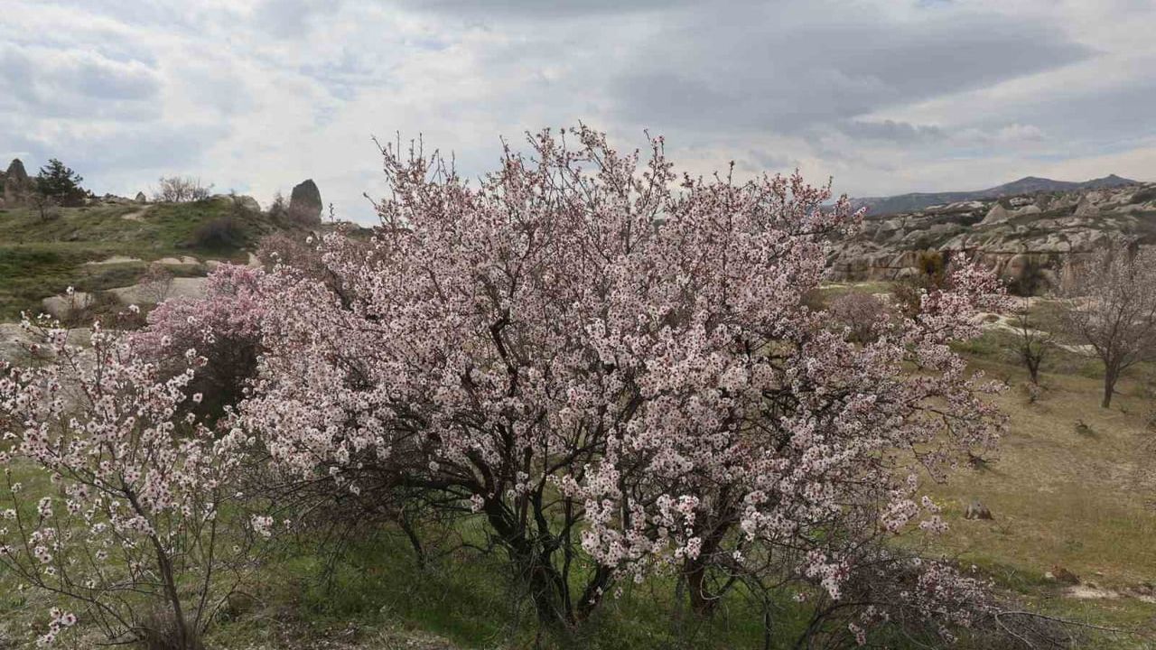 Kapadokya baharda canlanıyor: Göreme Milli Parkı ve vadiler ziyaretçilerini ağırlıyor