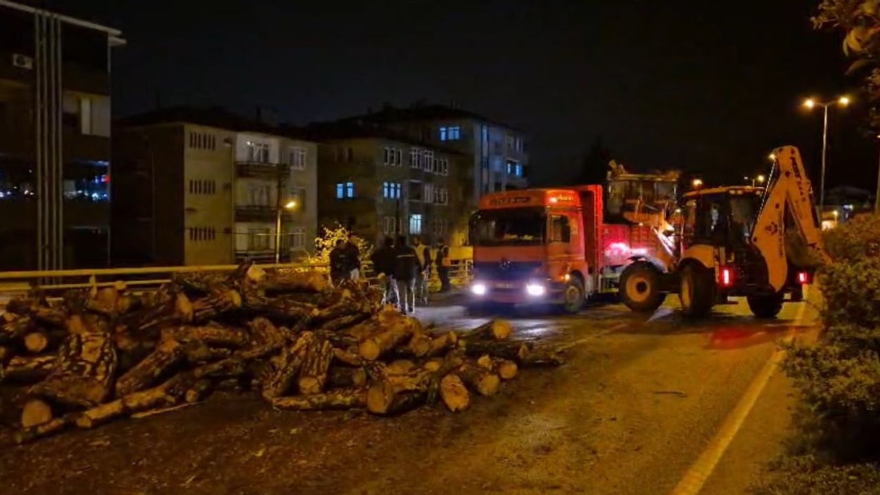 Karabük-Kastamonu karayolunda kamyondan dökülen odunlar kaldırıldı