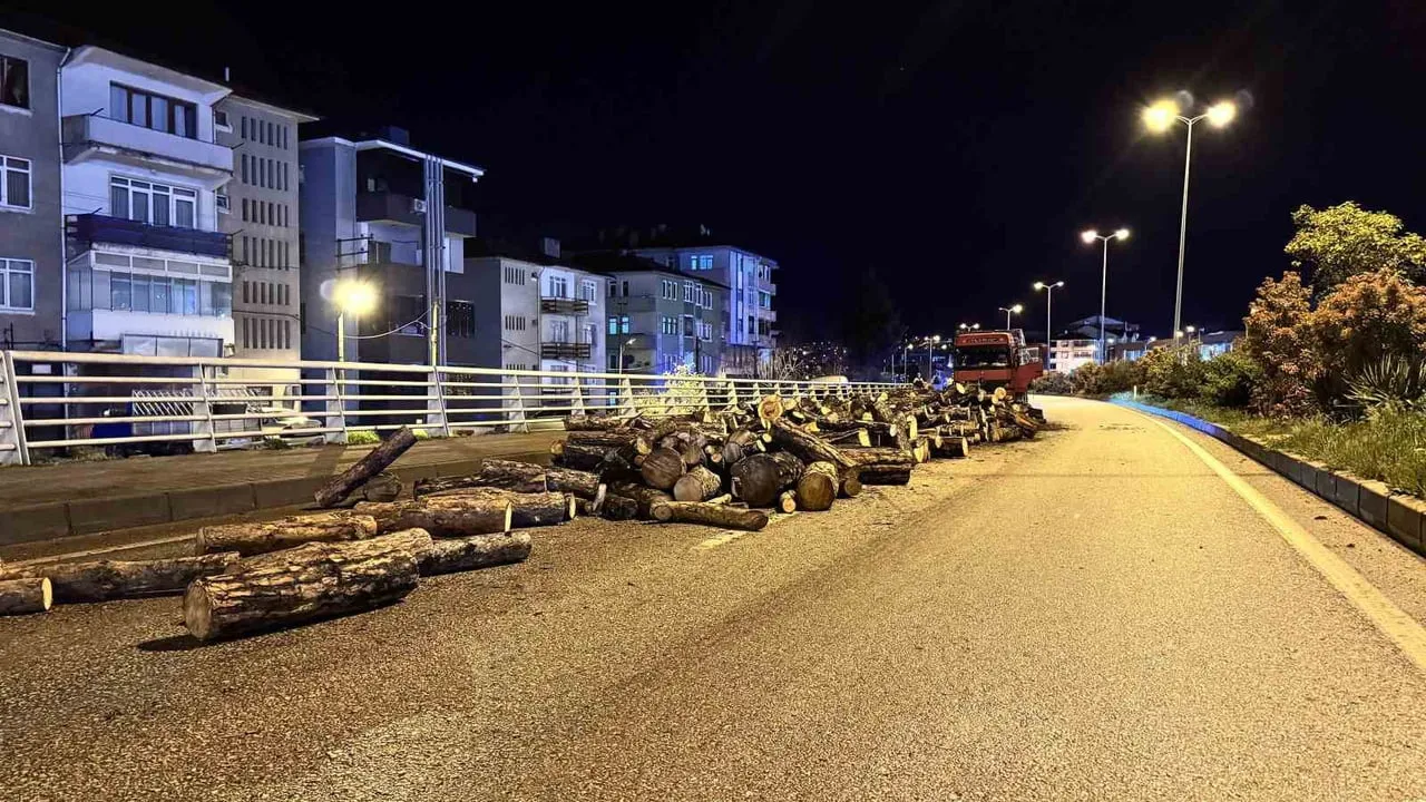 Karabük’te damperi aniden kalkan kamyonun odunları yola döküldü