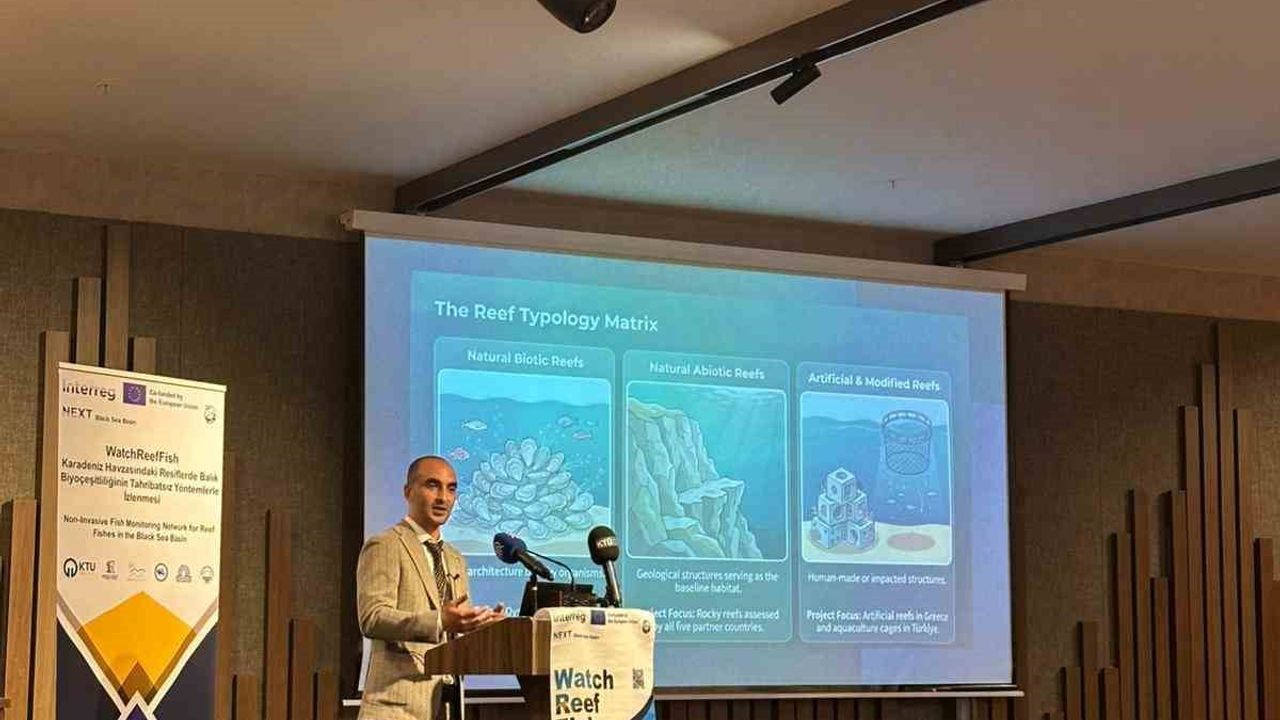 Karadeniz resiflerindeki balık biyoçeşitliliği WatchReefFish projesiyle izlenecek