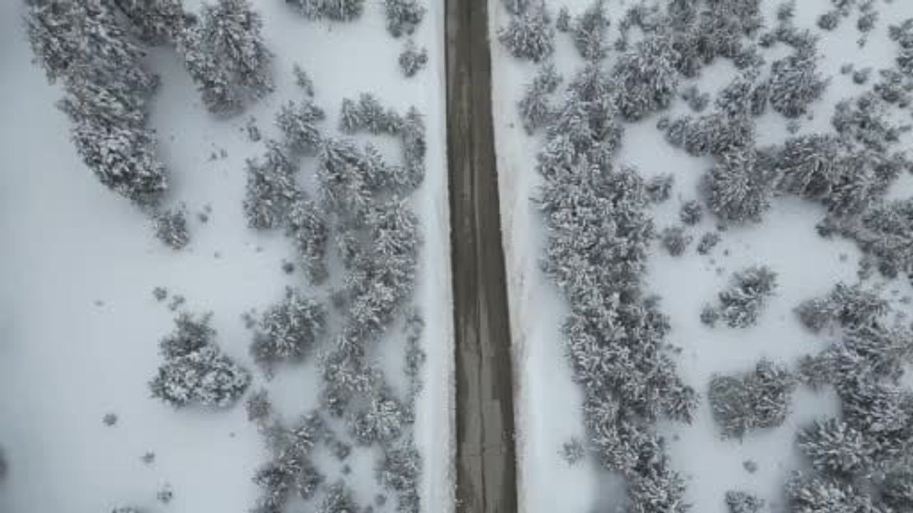 Kars’ta baharda kış: Sarıkamış kara yolunda kar ve sarıçamların görsel uyumu